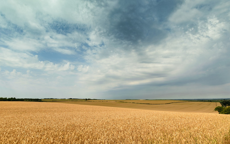 Sutra promjenjivo oblačno ali toplo