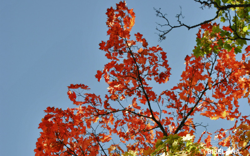 I dalje toplo, temperatura vazduha do 24 stepena