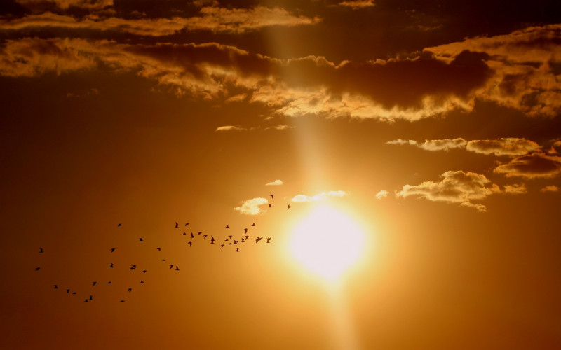 Šta bi se dogodilo kada bi Sunce eksplodiralo?