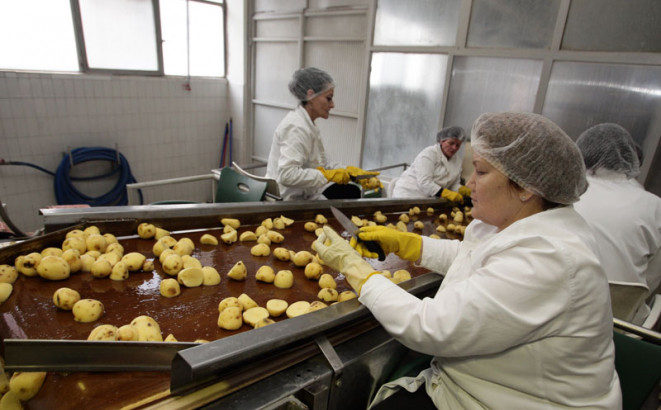 Proizvodnja raste, prerađivači u minusu