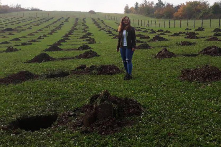 Nakon studija u Njemačkoj dolazi u BiH i pokreće posao