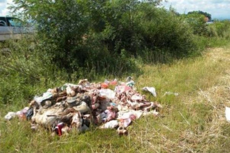 U RS ne postoje pogoni za životinjski otpad, završava i u prirodi