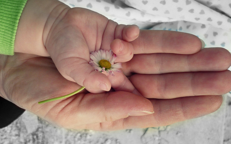 Počela isplata materinskog i dodatka na djecu