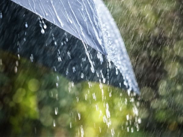Polovina ukupne godišnje količine vode padne u svega 12 dana