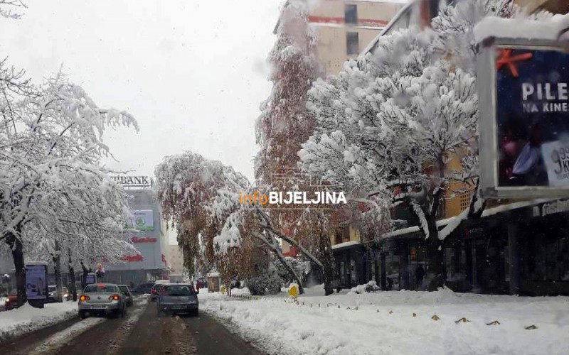 Radnici Komunalca uklonili drvo koje je bilo prijetnja za vozače i pješake /FOTO/