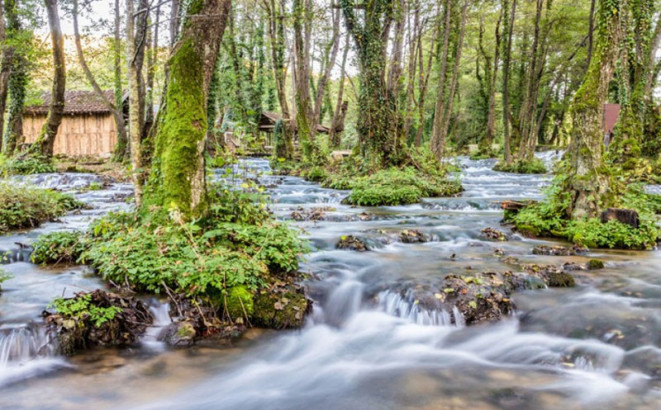 Domaća hrana mamac za turiste iz Evrope i Amerike