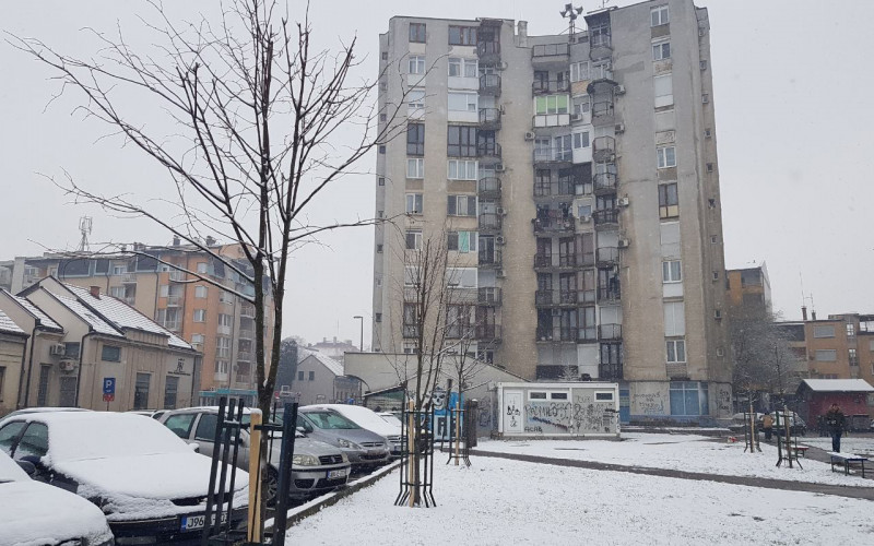 Molba građana urodila plodom, nove sadnice u centru Bijeljine