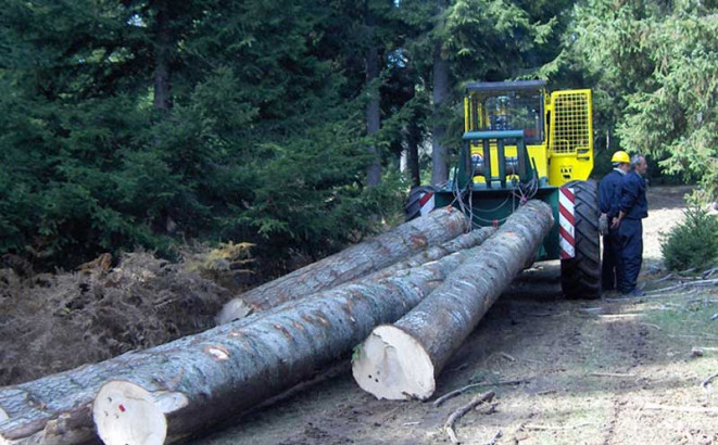 Kojim partijama će pripasti fotelje u javnim preduzećima?