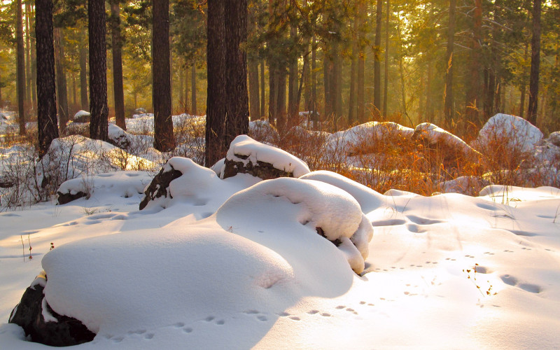 Danas promjenljivo oblačno, sa sunčanim intervalima