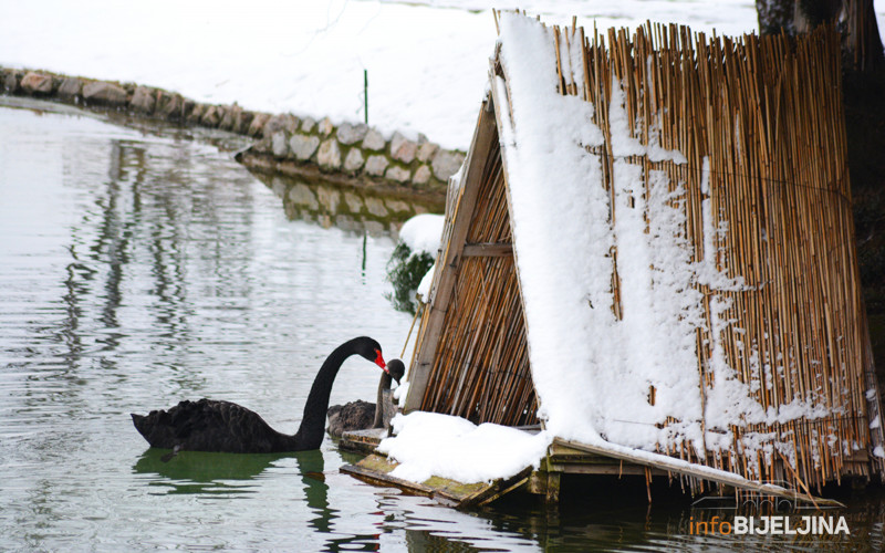 Danas malo toplije sa južnim vjetrom