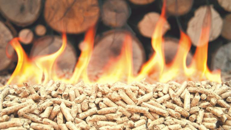 Vrtoglav skok cijene peleta