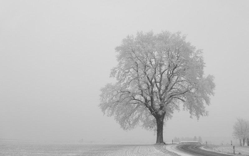 Danas oblačno sa snijegom