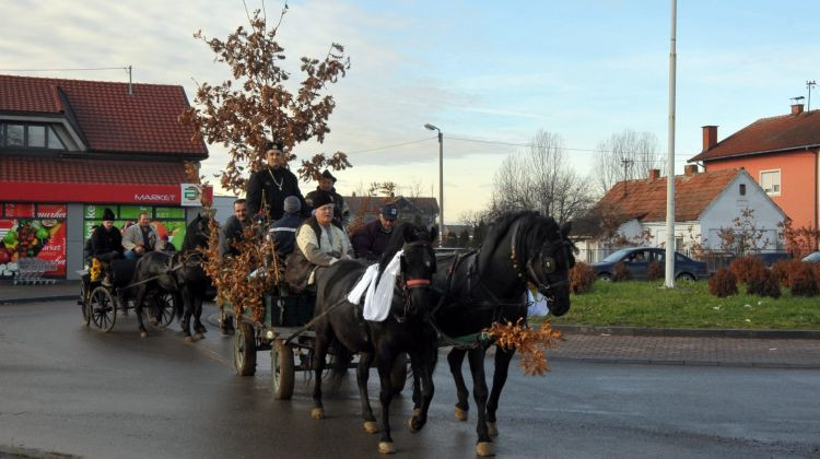 U susret najradosnijem prazniku