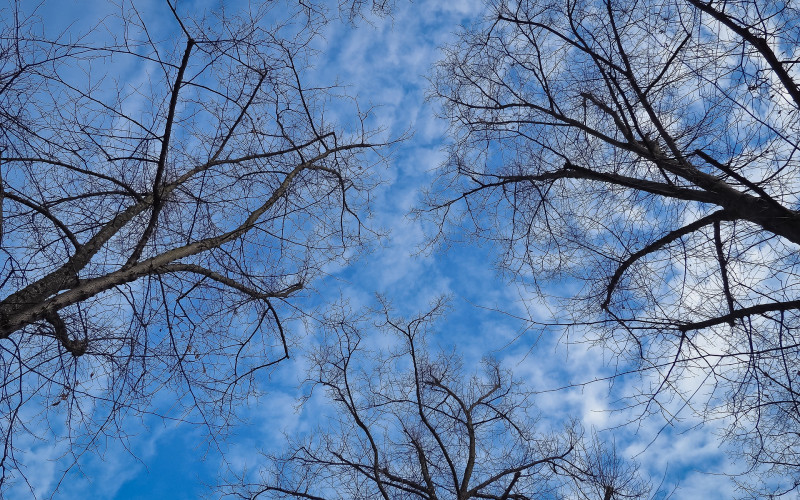 Danas oblačno sa sunčanim intervalima