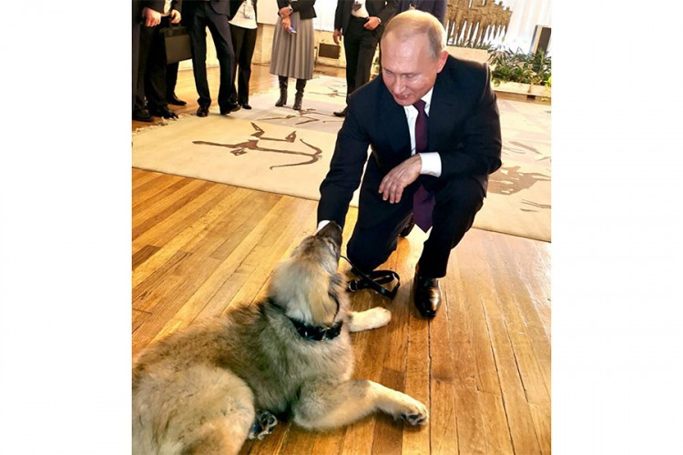 Pas Paša najviše naljutio kosovske Albance