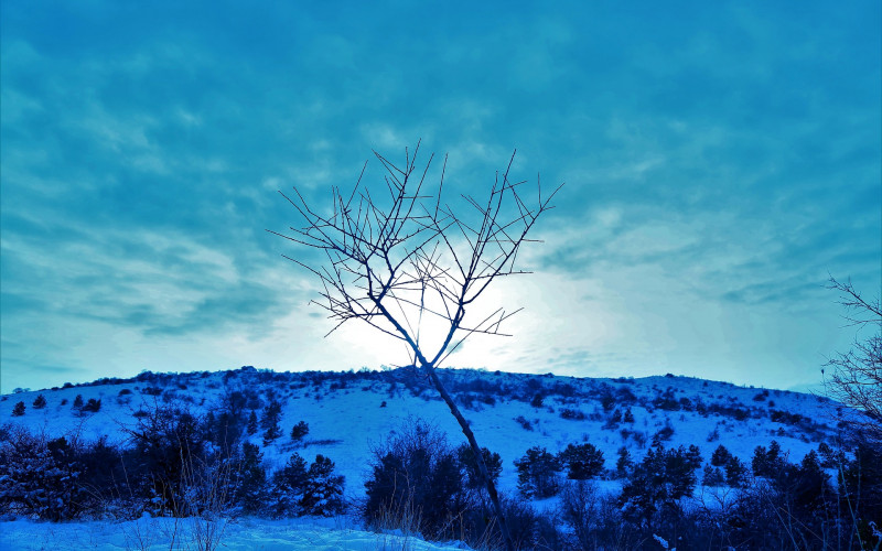 Danas oblačno sa snijegom i kišom