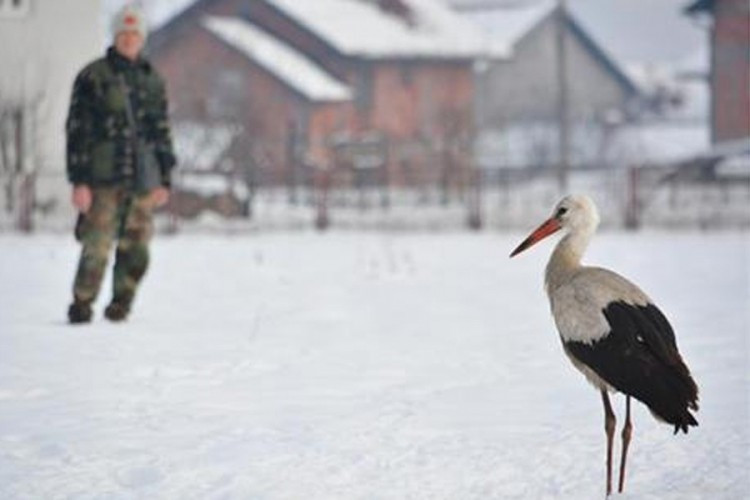 Roda Snježana atrakcija i miljenica mještana
