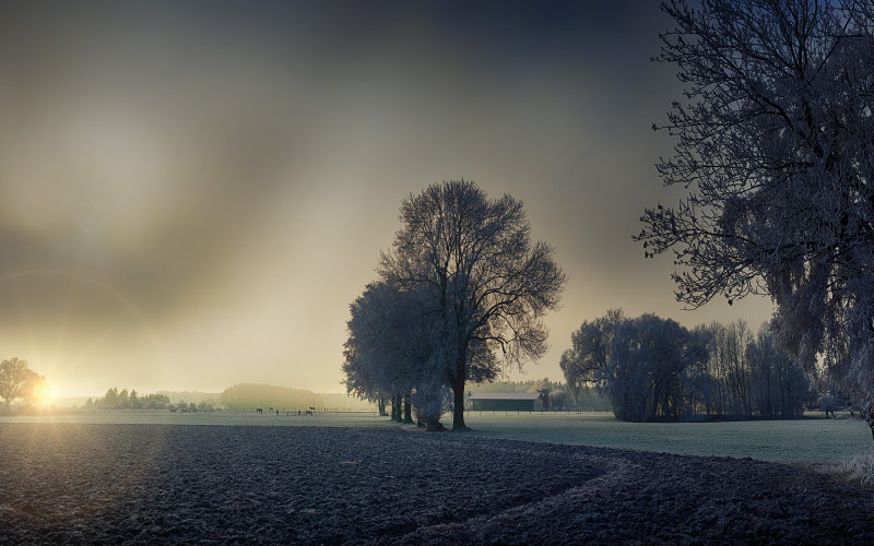 Danas pretežno oblačno i suvo
