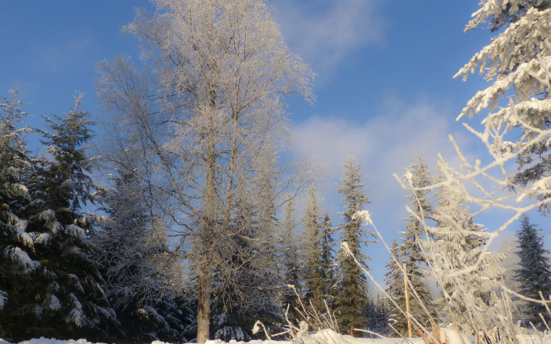 Sutra snijeg u većini krajeva