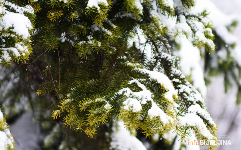Očekuje se novi snijeg i olujni vjetrovi