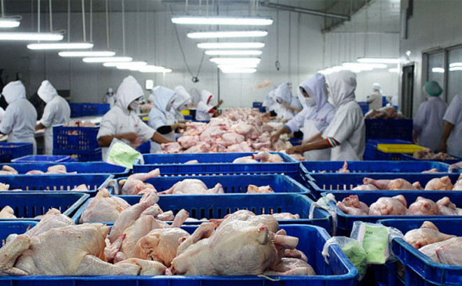 BiH odobren izvoz pilećeg mesa u Evropsku uniju