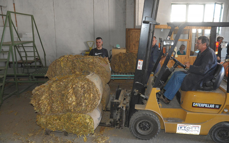 Proizvodnja duvana u Bijeljini 2018. godine povećana za 72 odsto