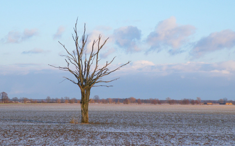 Danas oblačno i prohladno