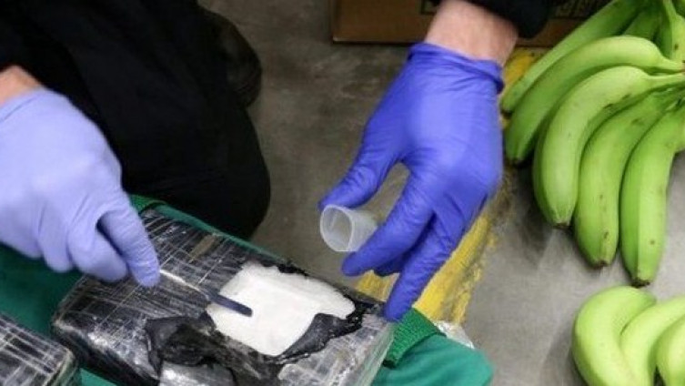 Banane pune kokaina: Uhvaćena albanska narkomafija u Njemačkoj