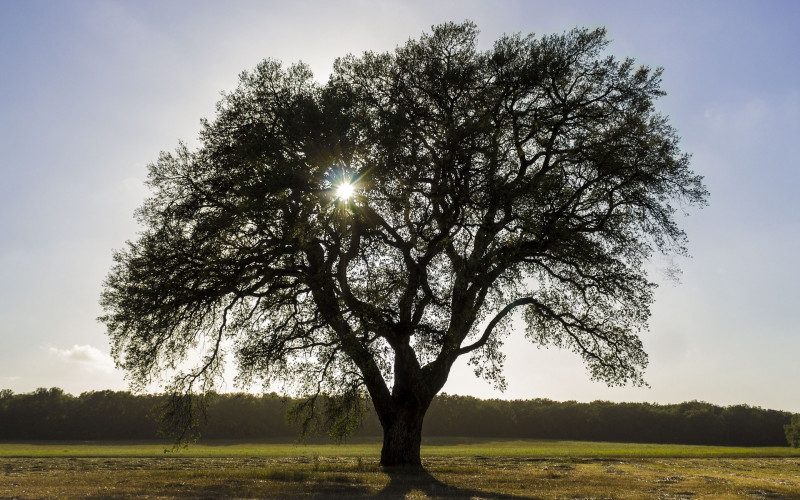 Sutra sunčano i toplo