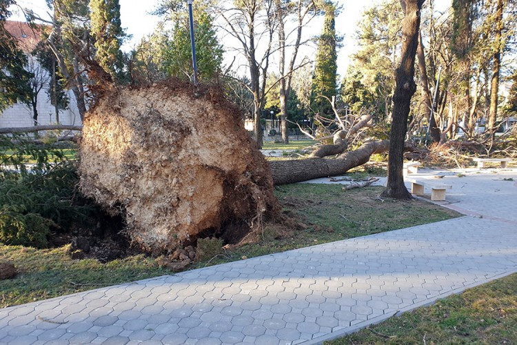 Najjači udar vjetar u Trebinju 92 kilometra na čas