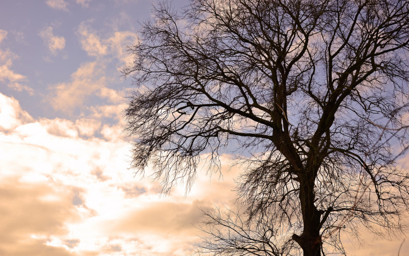 Danas oblačno sa sunčanim intervalima i malo toplije