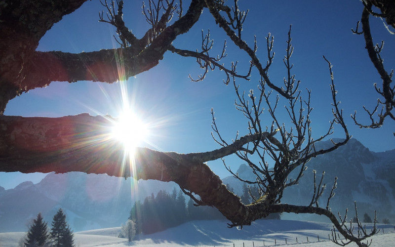 Danas promjenljivo oblačno, temperatura do 12 stepeni