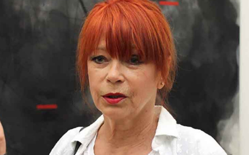 Neda Arnerić prebačena na VMA