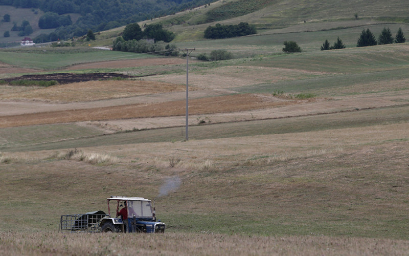 Proizvođačima žitarica u RS 7 miliona KM