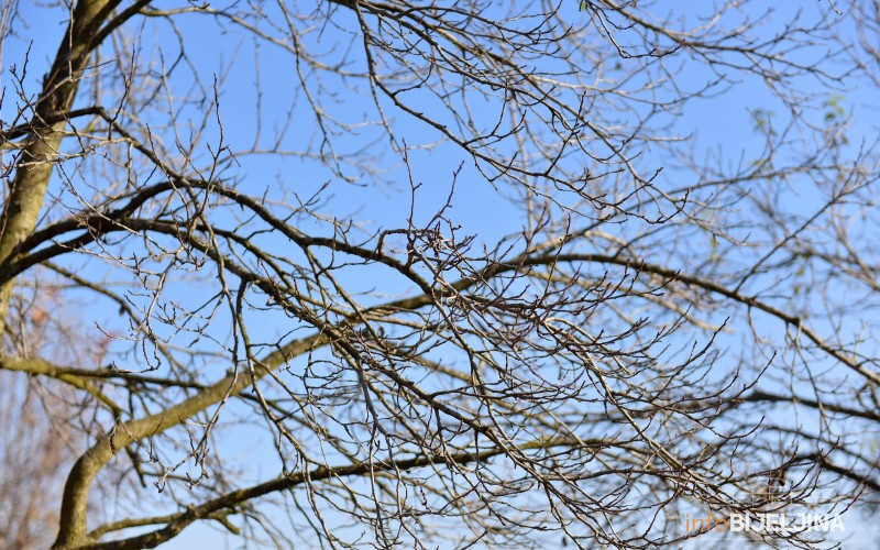 Danas poslije podne sunčano i toplo