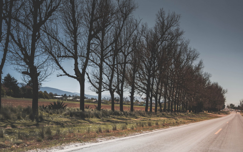Suvi i mjestimično vlažni kolovozi