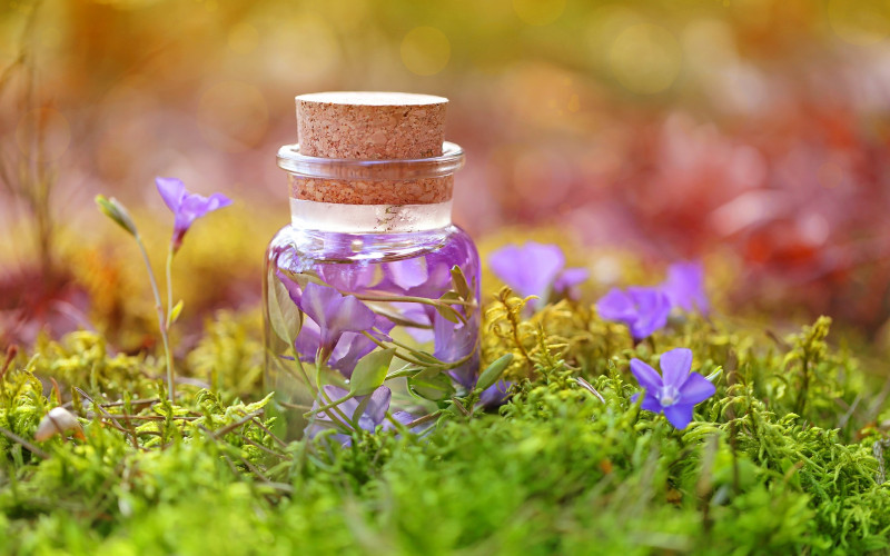 Arheolozi otkrili „eliksir besmrtnosti“ u drevnoj kineskoj grobnici