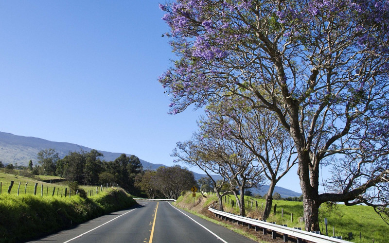 Oprez, klizavi kolovozi i poledica