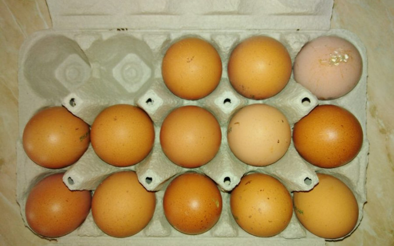 Građani u marketima iz paketa kradu jaja