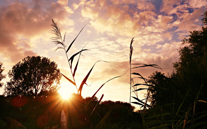 Danas i do 22 stepena Celzijusova