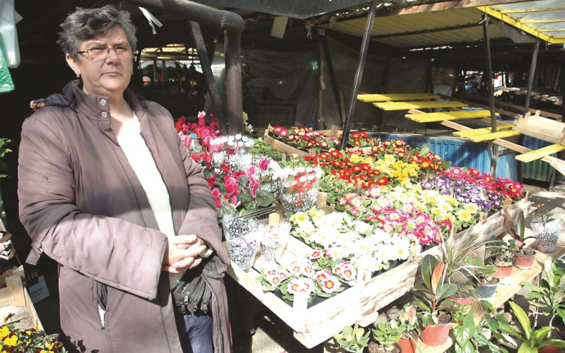 Slobodanka i Novak Ostojić, uzgajivači cvijeća iz Patkovače