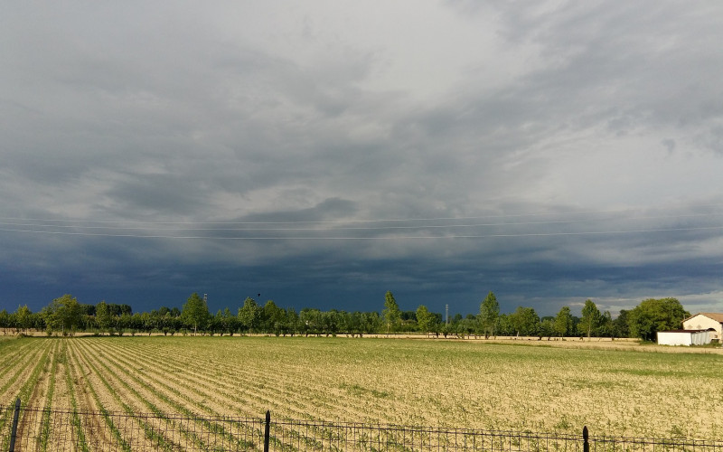 Sutra ujutru kiša i snijeg, tokom dana prestanak padavina