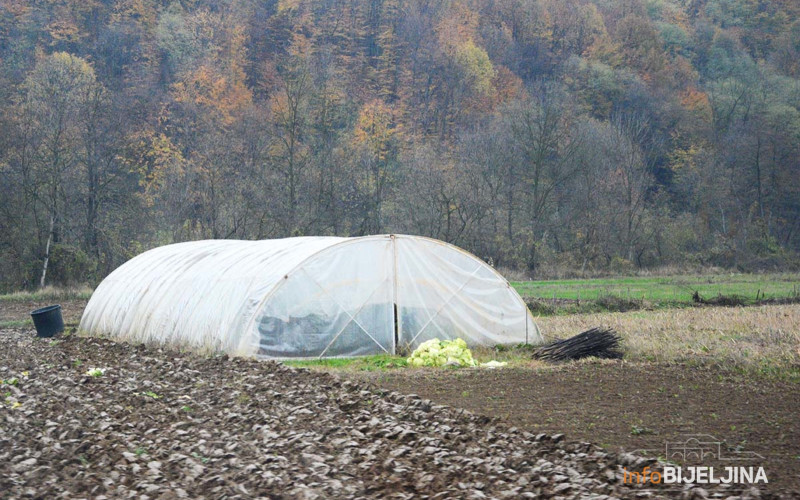Vrijeme pogoduje radovima u polju