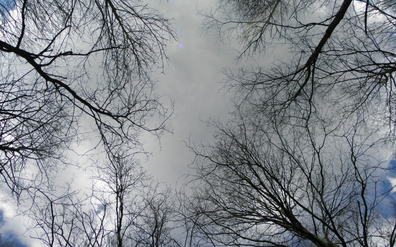 Sutra promjenljivo, tokom noći kiša i snijeg