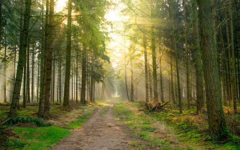 Za vikend temperature i do 23 stepena