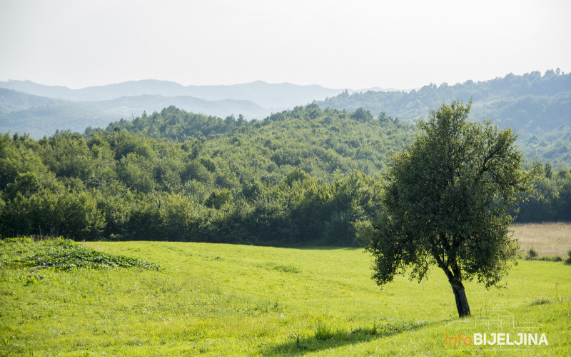 Danas suvo, temperatura vazduha do 22 stepena