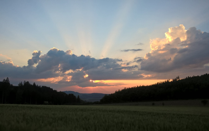 Sutra temperatura do 24 stepena