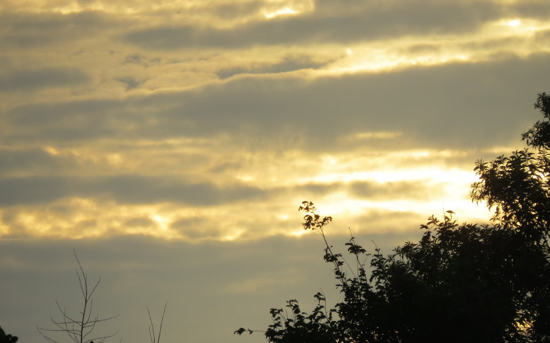 Danas sunčano i toplo