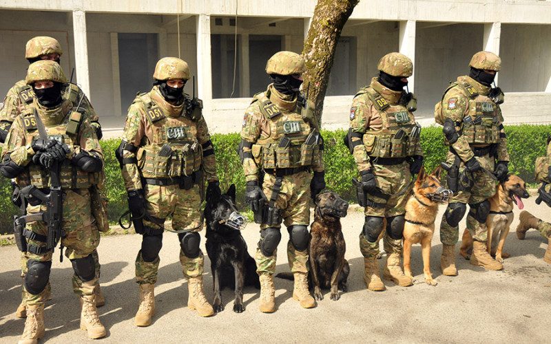 Skupocjeni jazavičar digao i specijalu na noge