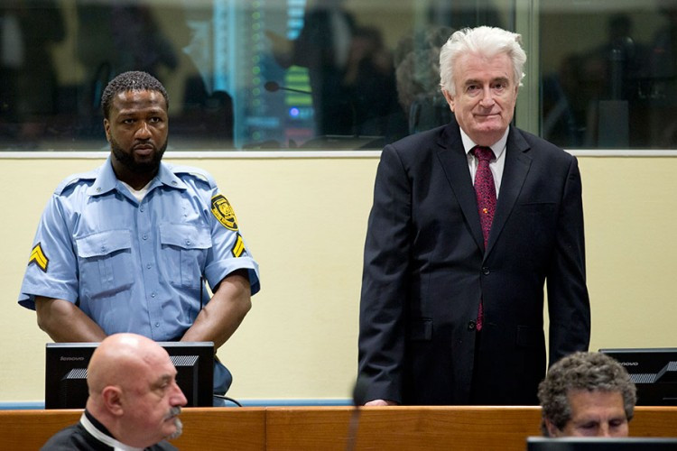 Karadžićev advokat: Tražićemo ponovno suđenje zbog novih dokaza